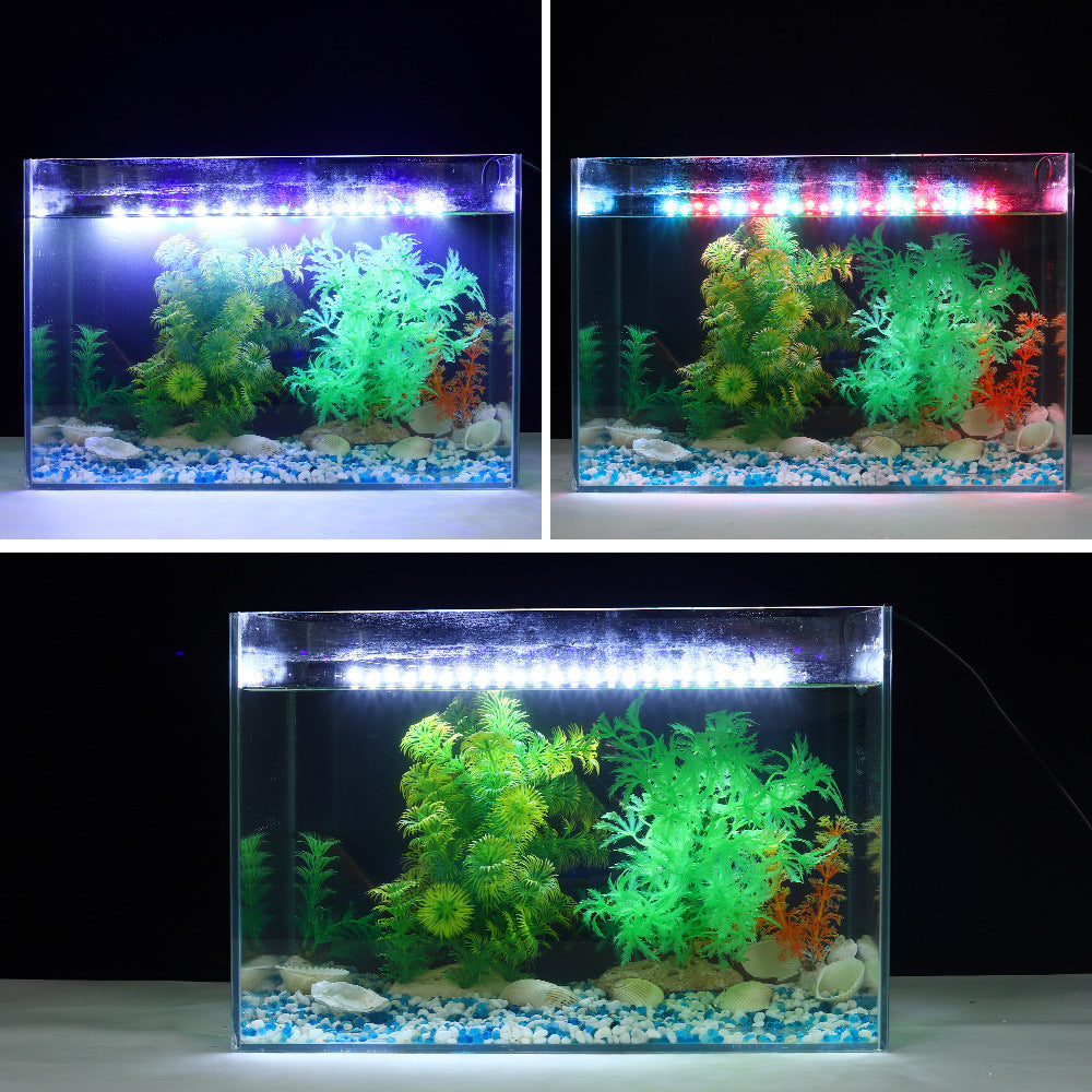 High Brightness LED Lighting Aquarium For Ornamental Fish