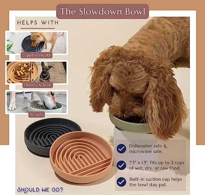 Anti-Knockover Slow Feeder Bowl – Silicone Food Plate for Cats and Puppies, Anti-Slip Design to Prevent Choking