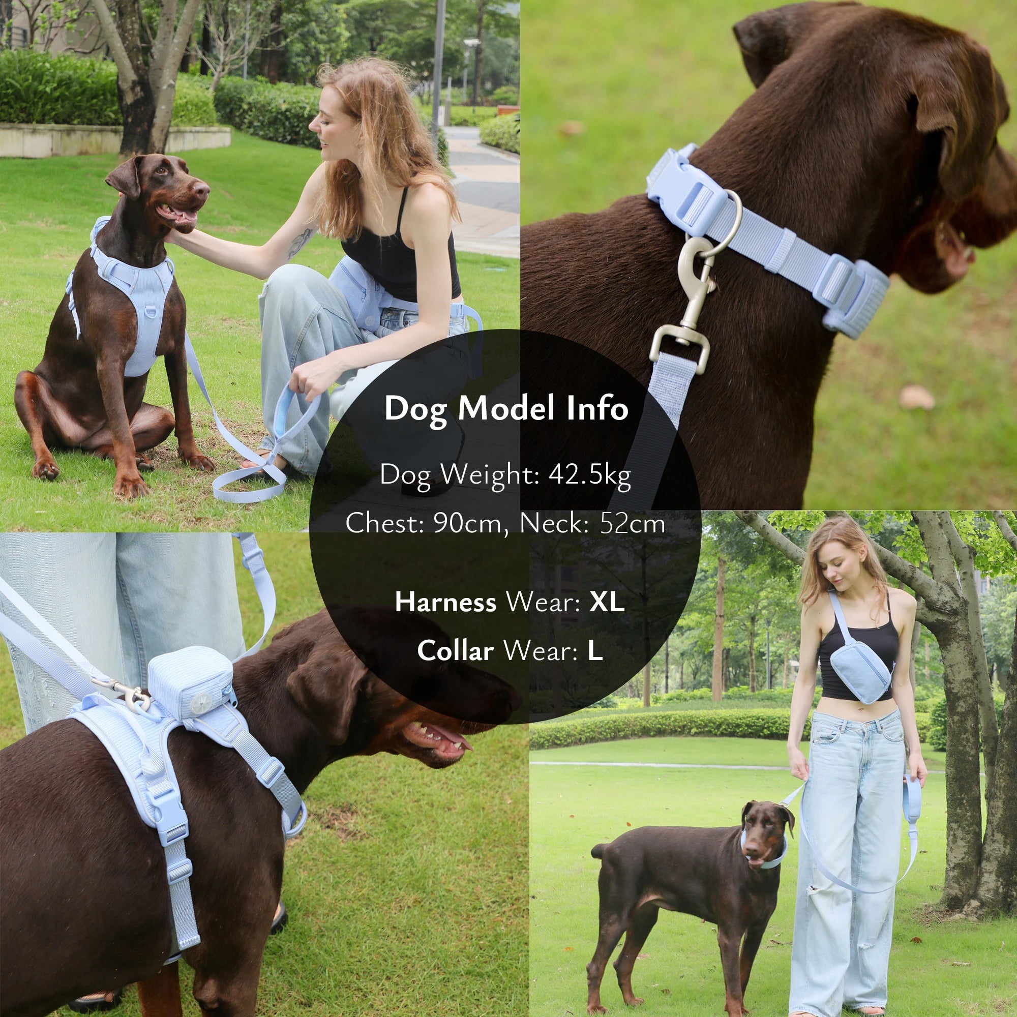 Personalized No-Pull Dog Harness and Leash Set – Adjustable Harness with Poop Bag Holder and Walking Bag for Dogs