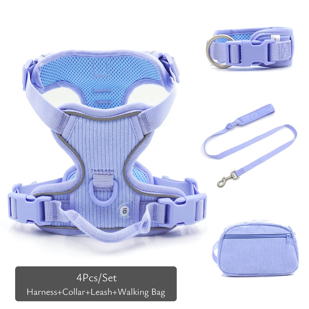 49361467408718|49361467441486|49361468555598|49361468653902