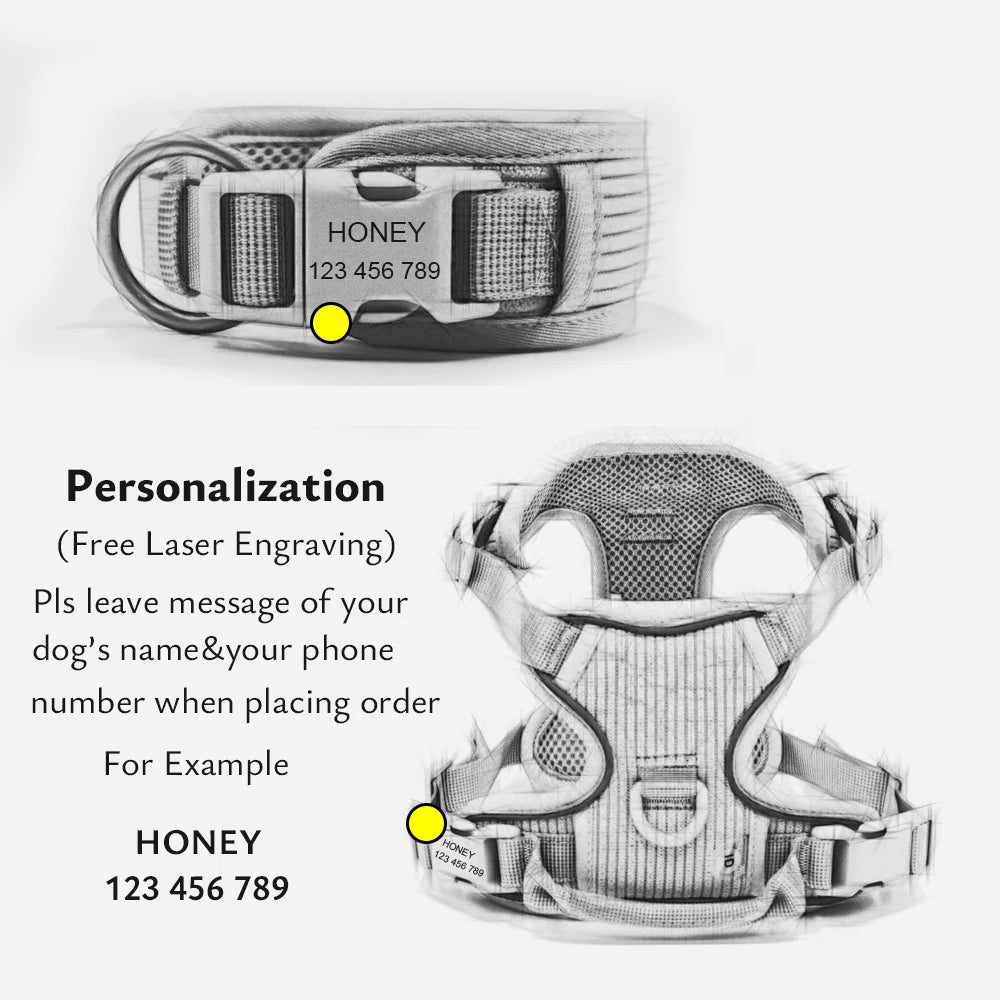 Personalized No-Pull Dog Harness and Leash Set – Adjustable Harness with Poop Bag Holder and Walking Bag for Dogs