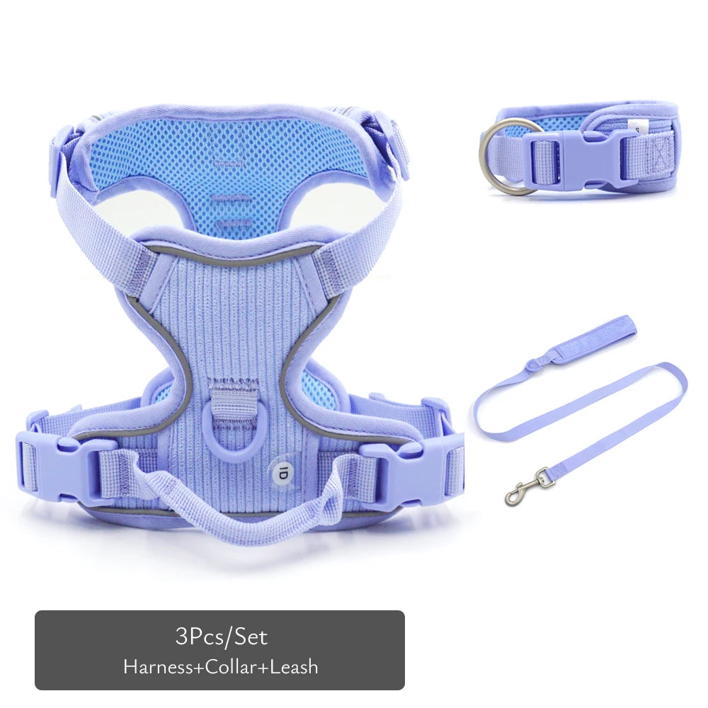 49361468096846|49361468195150|49361469047118|49361469079886