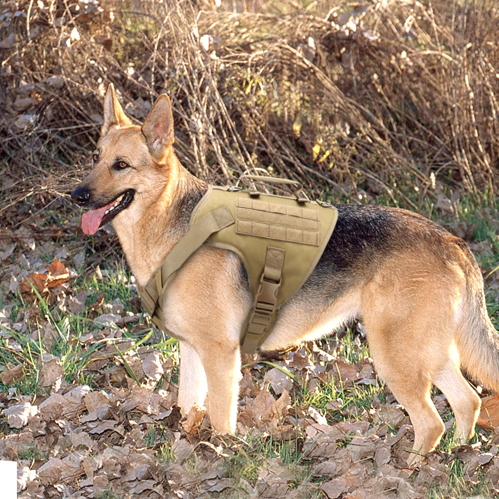 Nylon Tactical Dog Harness Set – No-Pull Military Vest with Collar, Leash, and Molle Pouches for Medium & Large Dogs Training