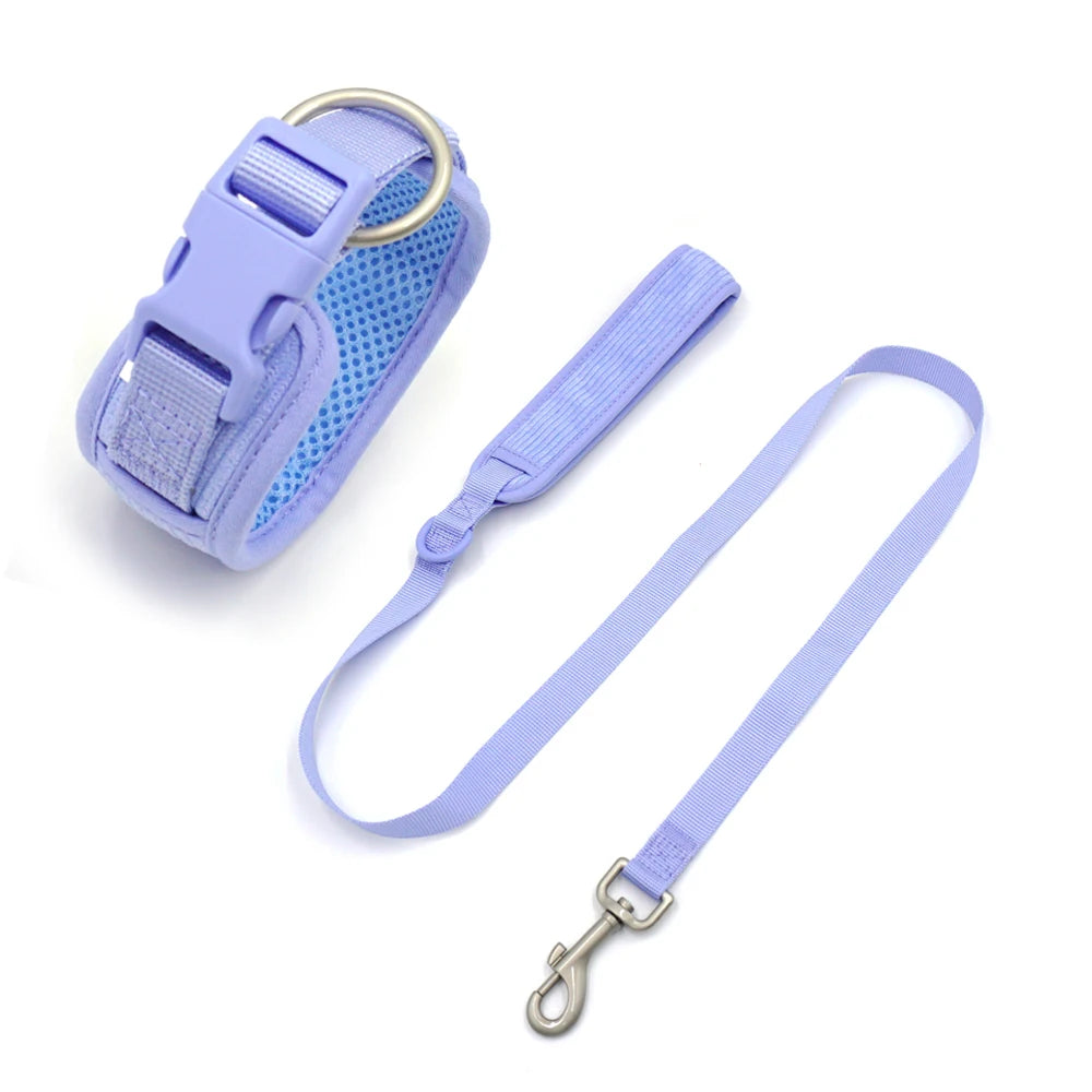 49361467343182|49361467375950|49361468719438|49361468752206