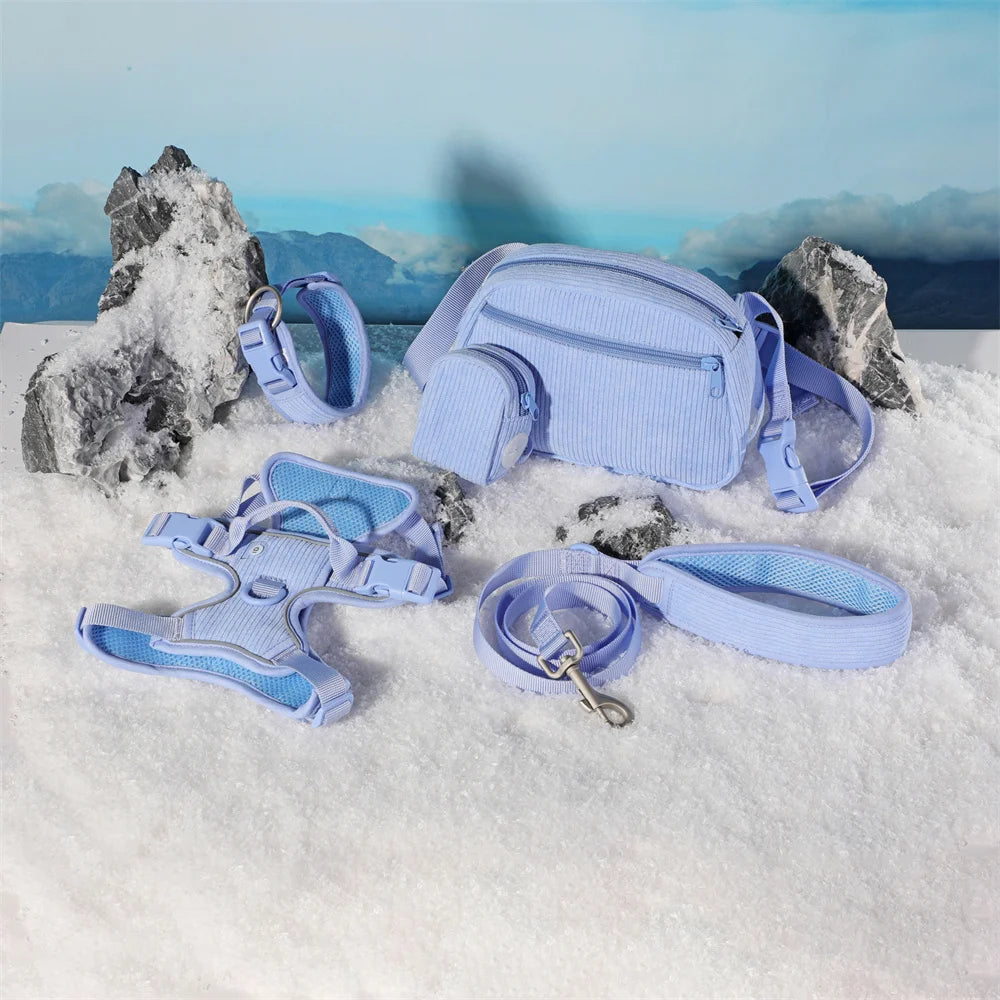 Personalized No-Pull Dog Harness and Leash Set – Adjustable Harness with Poop Bag Holder and Walking Bag for Dogs