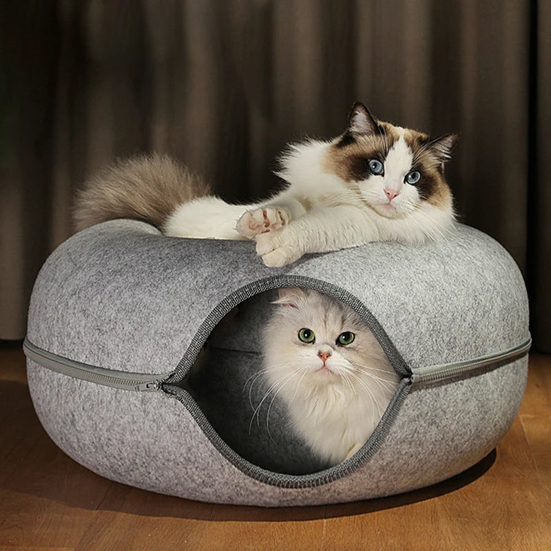 Donut Cat Bed for 2 Cats – Detachable Interactive Pet Tunnel and Game Toy, Dual-Use Felt Indoor Kitten Equipment