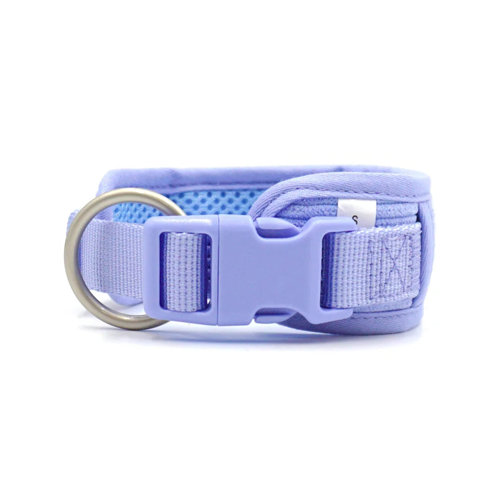 49361467474254|49361467572558|49361467703630|49361467834702