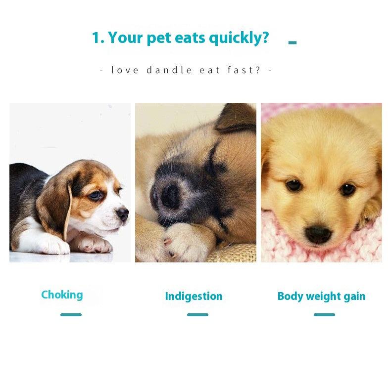 Pet Slow Feeding Bowl Anti-choke Food Bowl